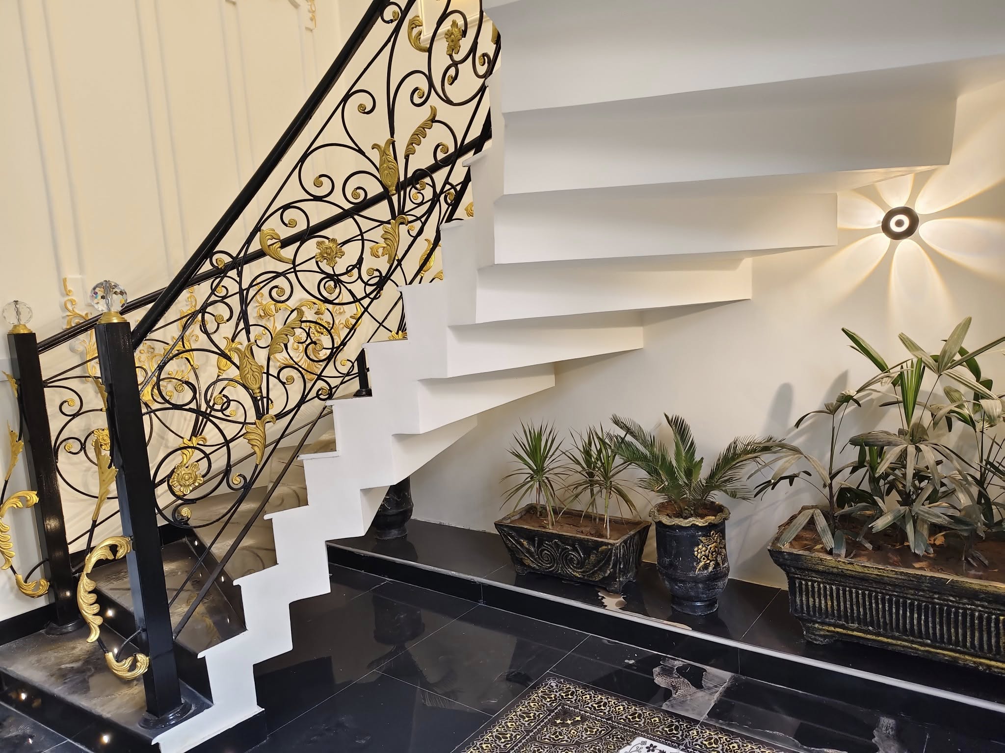 499398296_1211655973962484_779071867961552680_n