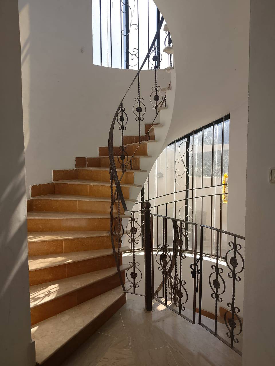 504377135_579642395205616_3151479861752892180_n