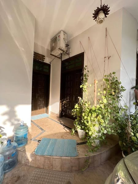 509614002_3648917438576240_8880019551326930067_n