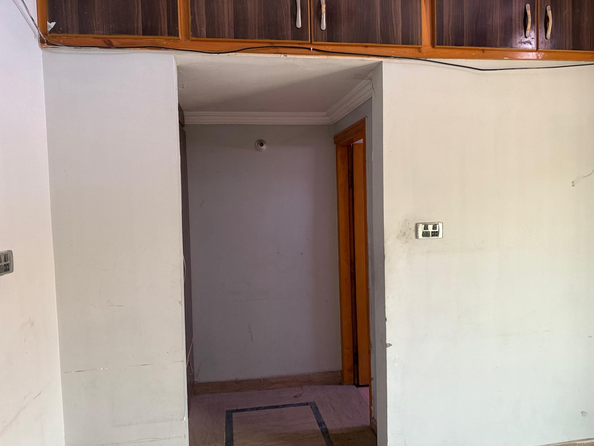 511460997_731483353372335_1941800635138216740_n