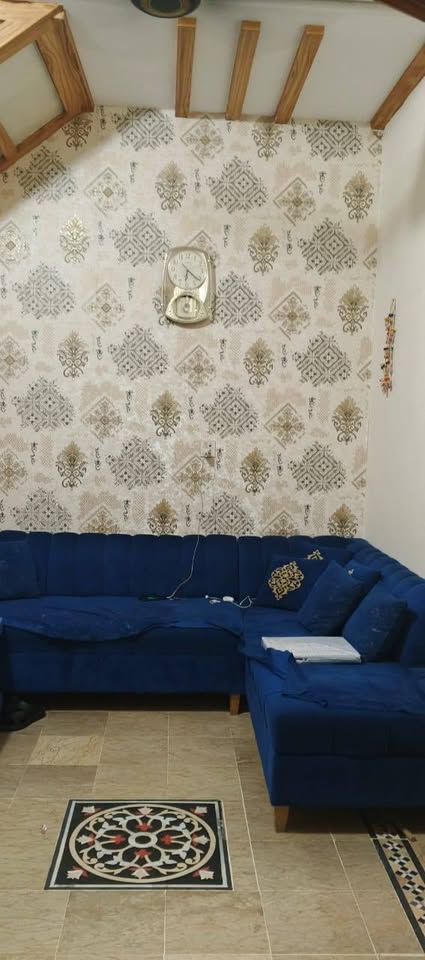 514195279_4125617161012474_7750552961780998146_n