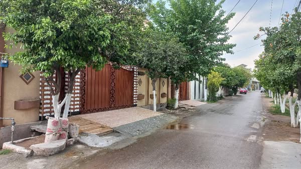 514346565_579642185205637_4275635144010408747_n