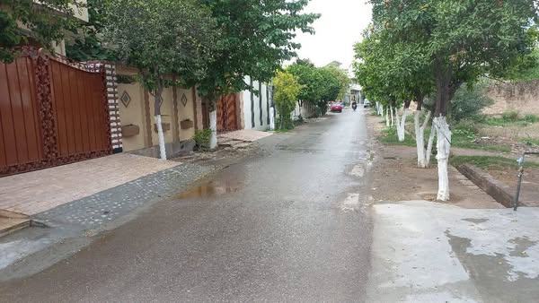 515405640_579642225205633_4994419721056447374_n