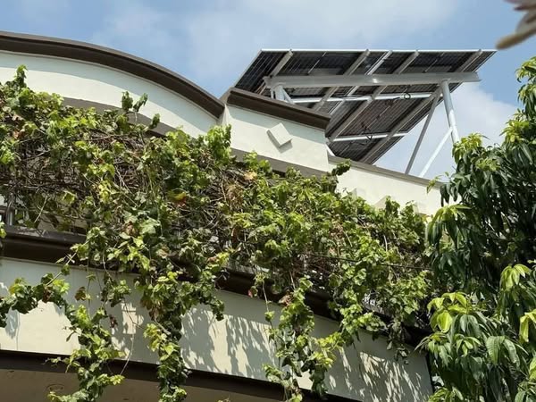 516079135_3669728403161810_11915673606401094_n