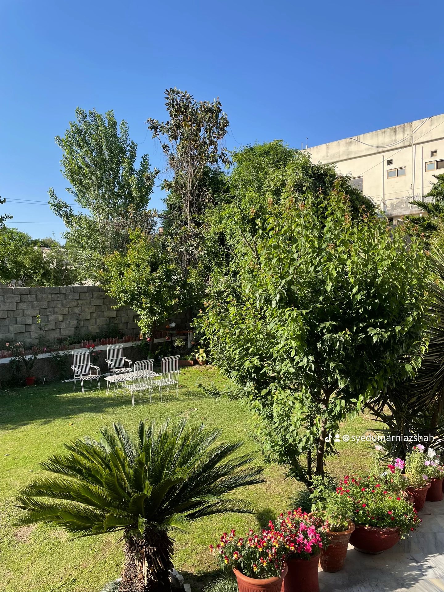 516386945_122185854362514508_6734128968594144039_n