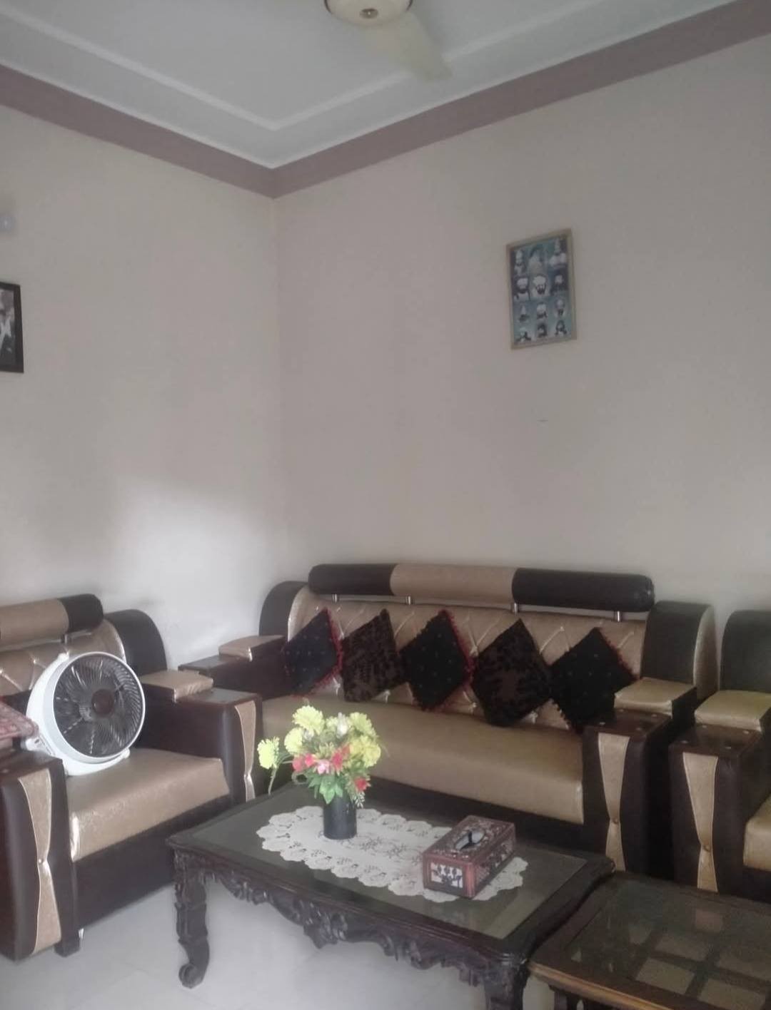 517460596_24251903574503339_2886921329398885828_n