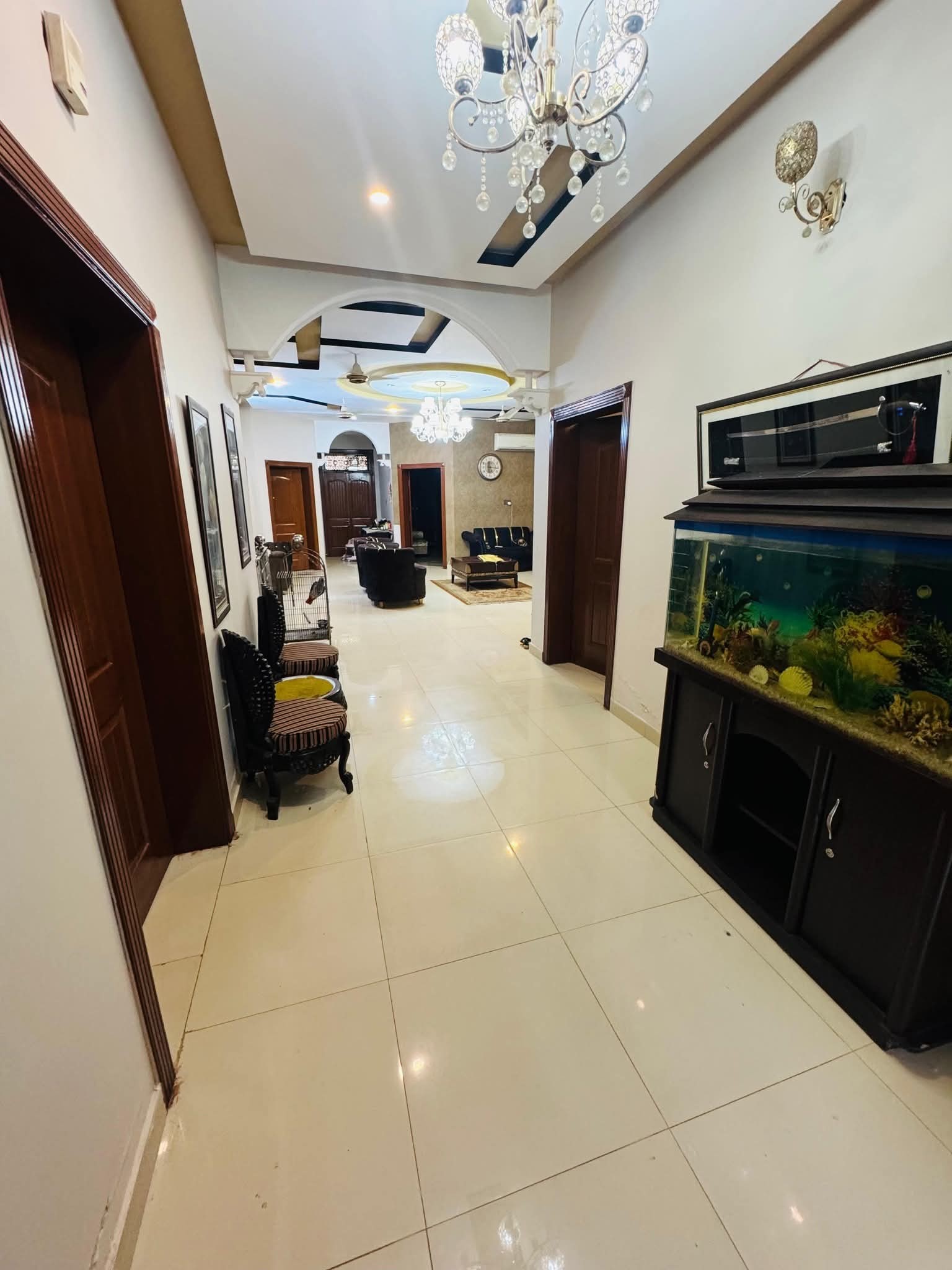 518113224_3671123749688942_1460136052899794466_n