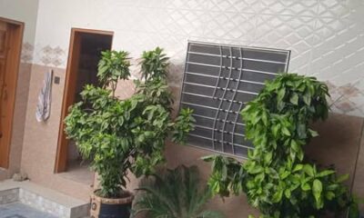 518387385_122160698924382391_2408046888958388056_n