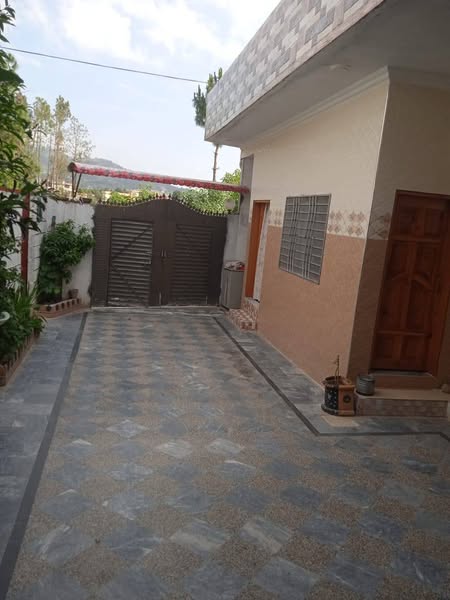 518397959_122160698798382391_736496596736080961_n