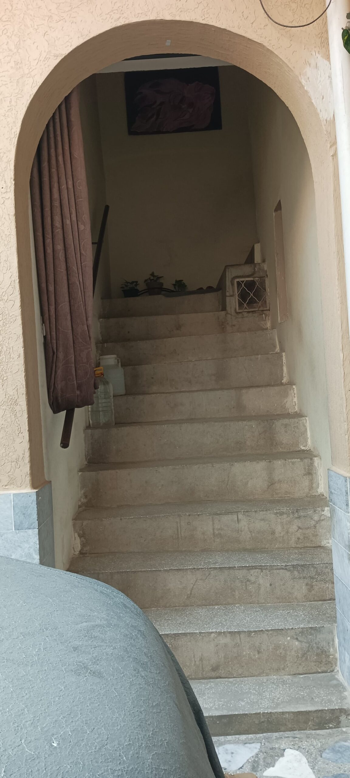 519004313_4310149229271441_3507032690137770242_n