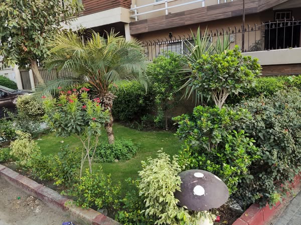 519994813_10235557842598508_3353993140224039418_n