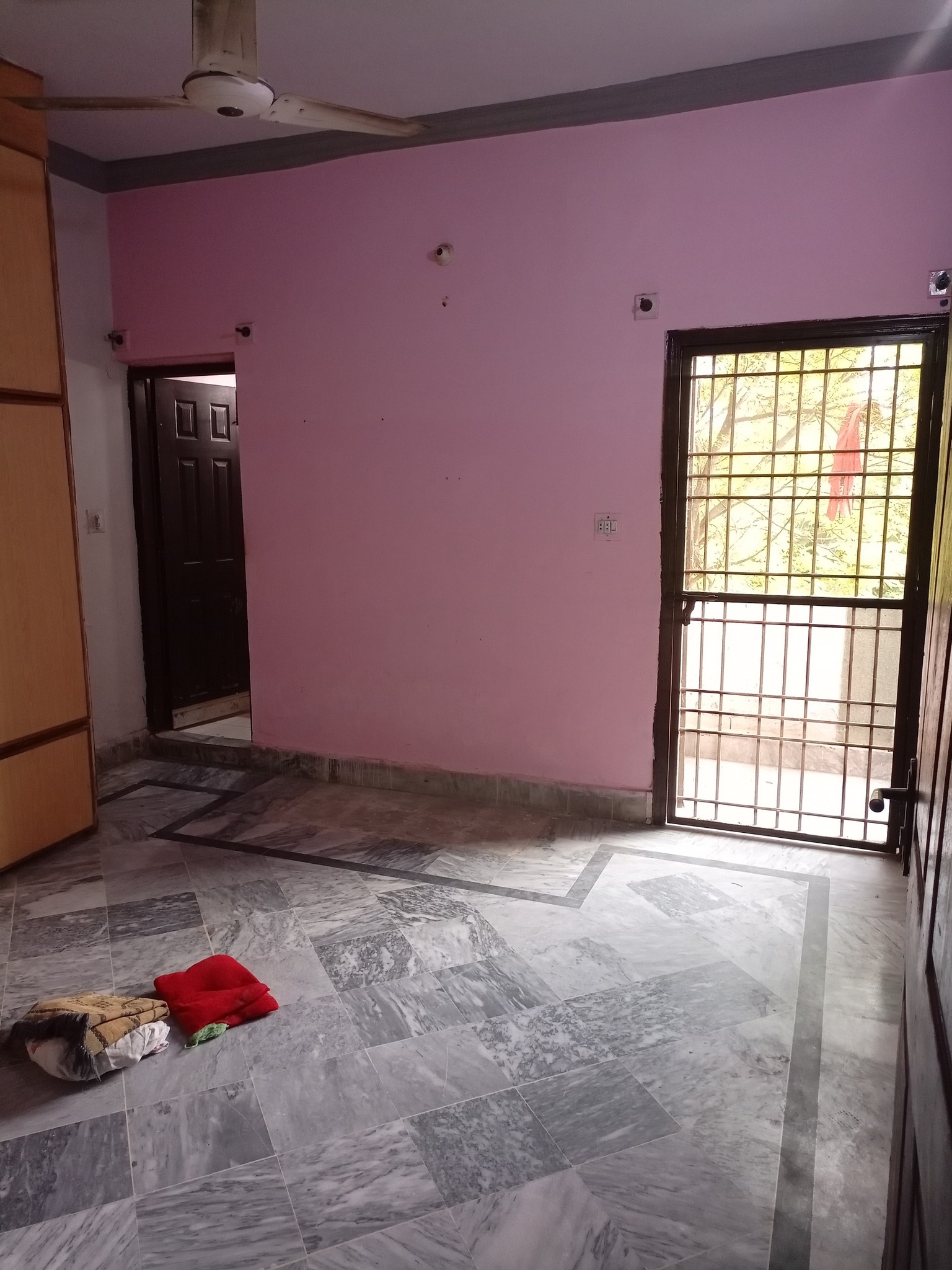 520347437_1731306451594567_8558837696598924630_n