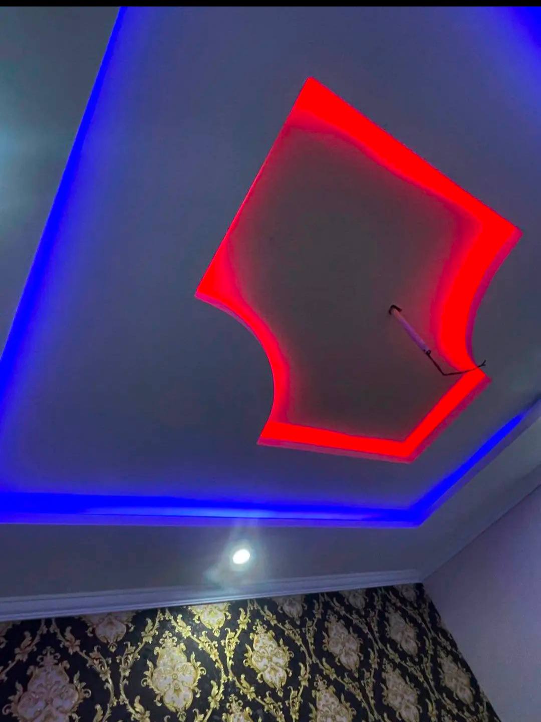 520469137_2468561520180705_3518231393889670297_n