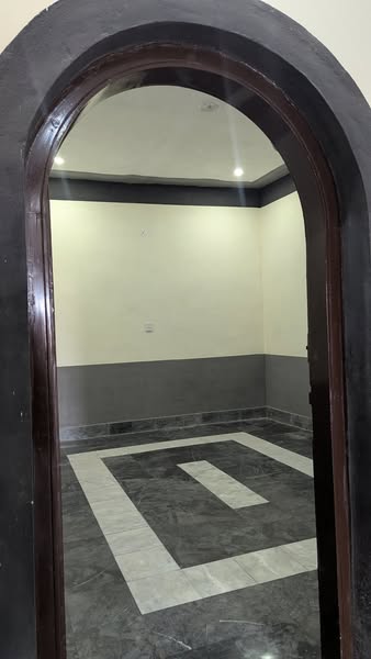 520596301_2262565047489242_6333760755389382130_n