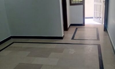 521954326_1236889938451310_7796874165193829599_n