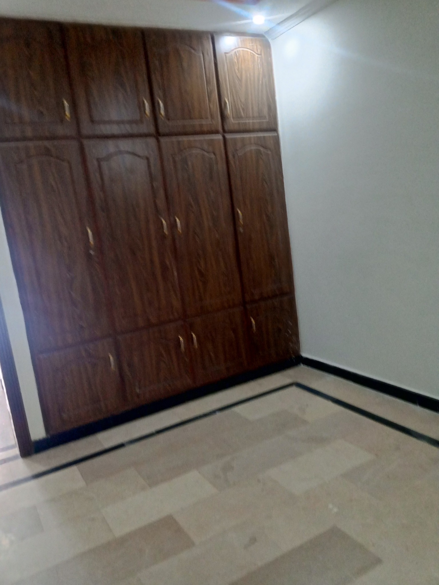 522658310_1236889995117971_7019576821245008936_n