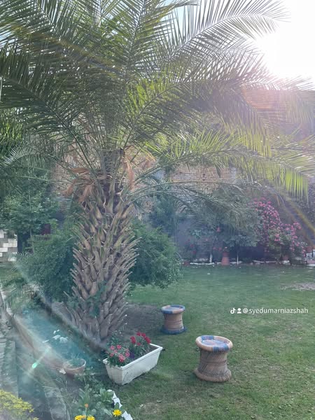 526540055_122185854698514508_429579720868142901_n