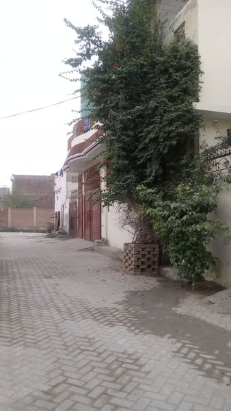 472275184_122195553104082171_3826661480525071511_n