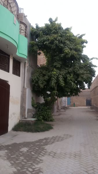 472717023_122195550884082171_6587014588582381121_n