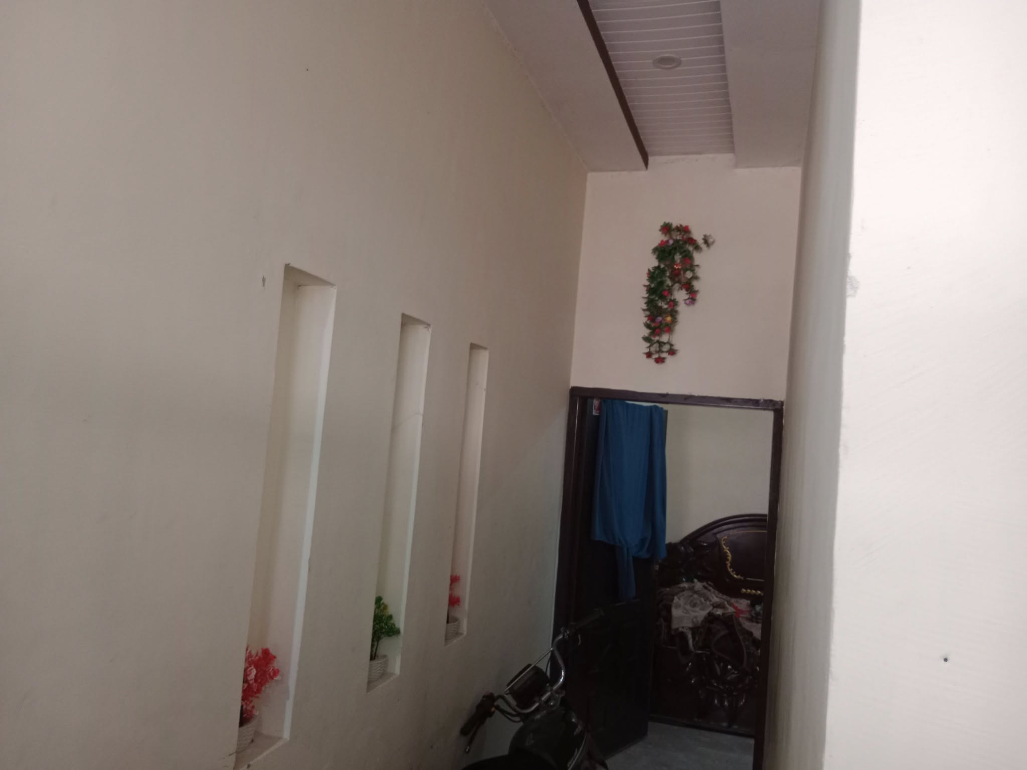 491537784_2230009877414065_3257000843387315042_n