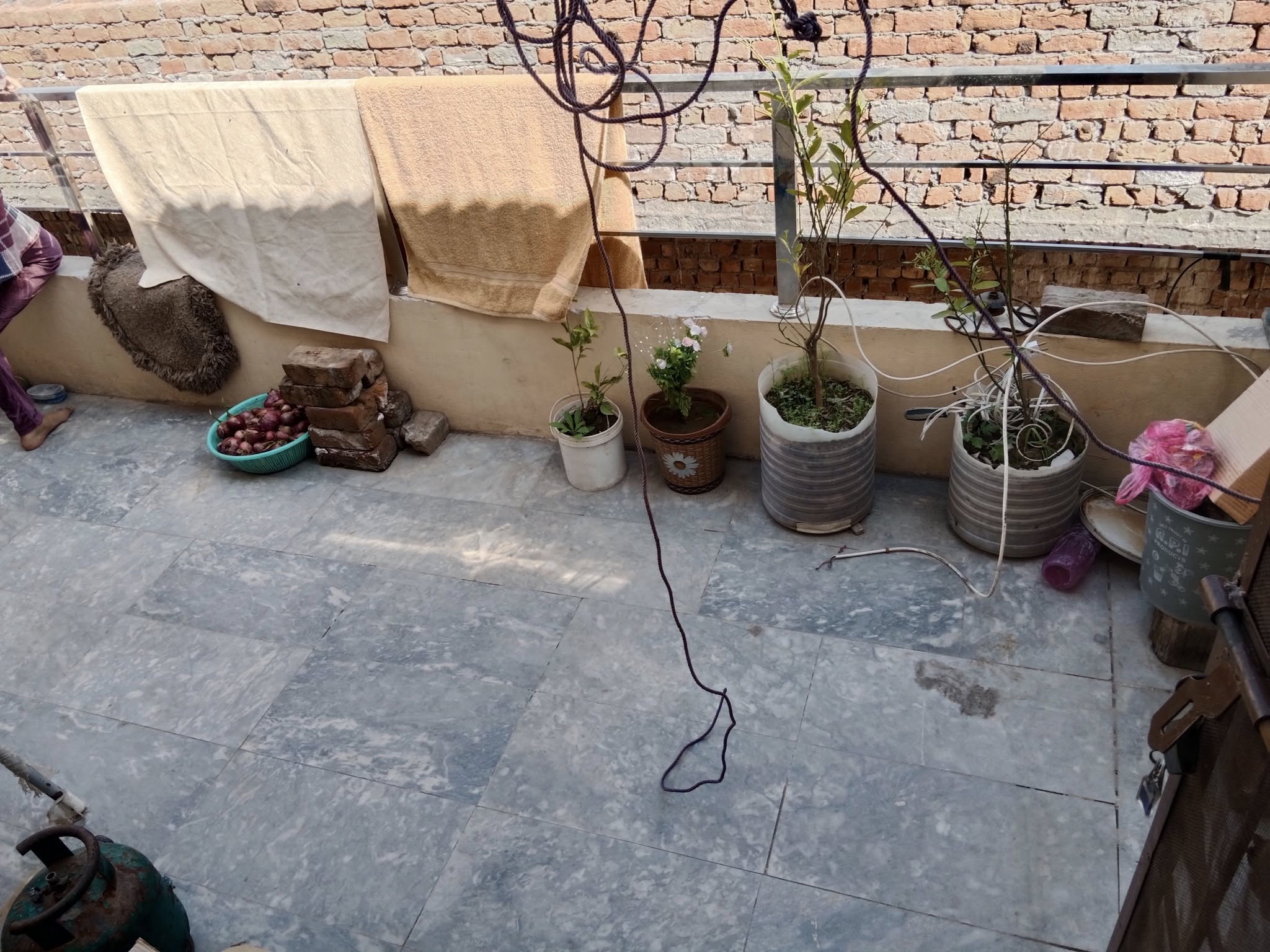 491973269_2230009770747409_4751261137400277809_n