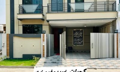 499491318_122198058254100227_1138361444982868905_n