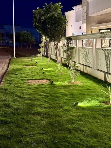 504281818_9860313064088255_9044313829481072225_n