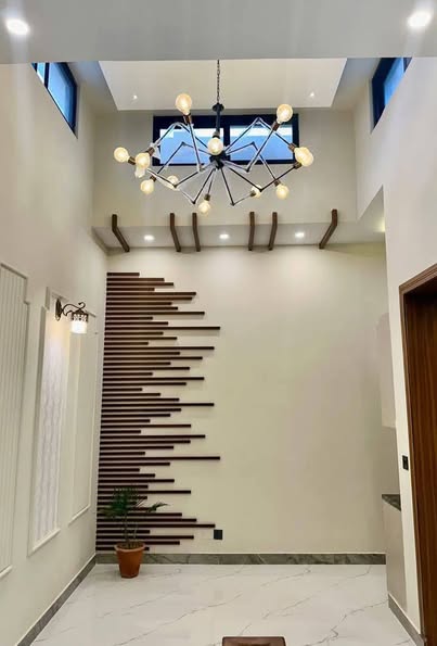 511019202_9860101674109394_762194535464761721_n