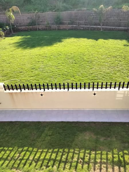 517612731_9962410537211840_2709836257055489081_n