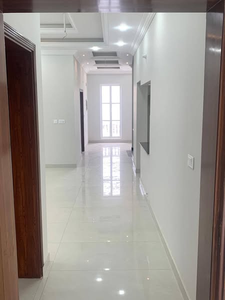 518139665_1166182228877356_8832719594857707924_n