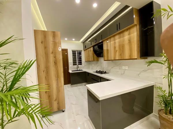 518238053_1742713359968773_8918551179049169934_n