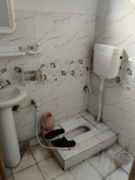 520282021_766002265867904_5176066588310951427_n