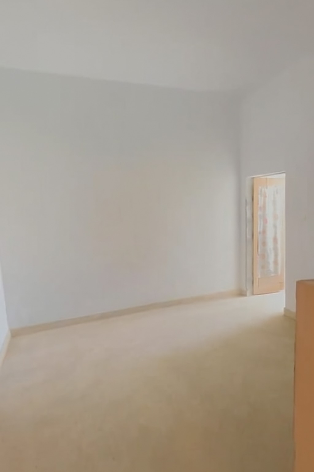 521164797_1255704579678384_8170238687769253219_n