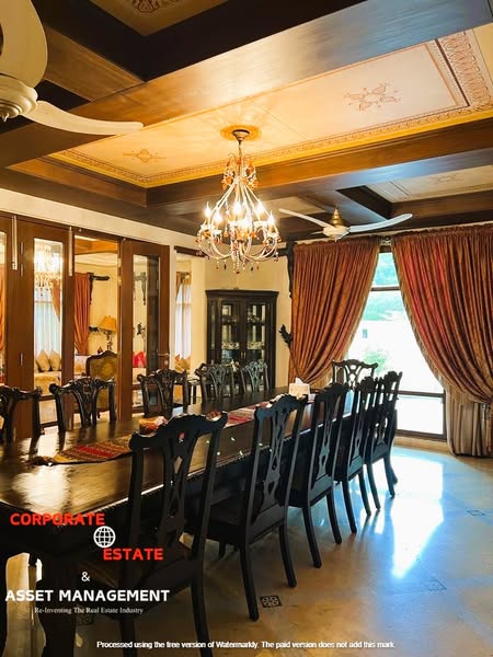 521352411_1184987130323171_5563791063997886595_n