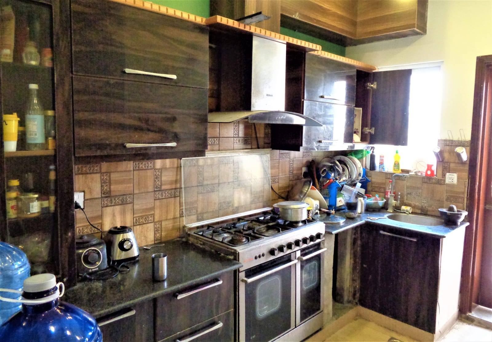 525338814_122183517272495150_1644652211493286107_n