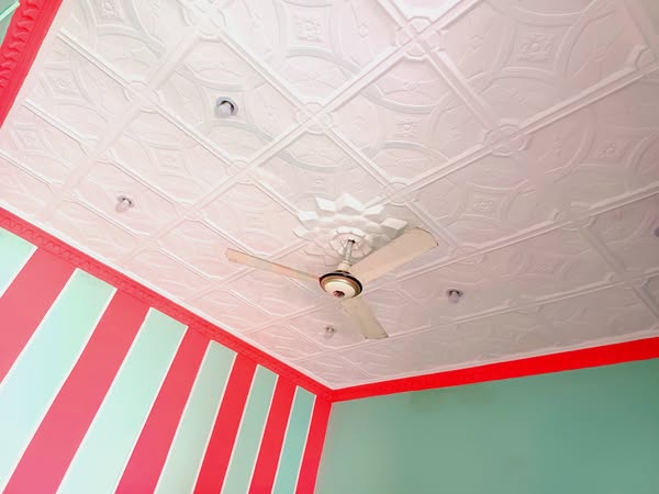 526763376_1268054661625002_352328531422173644_n