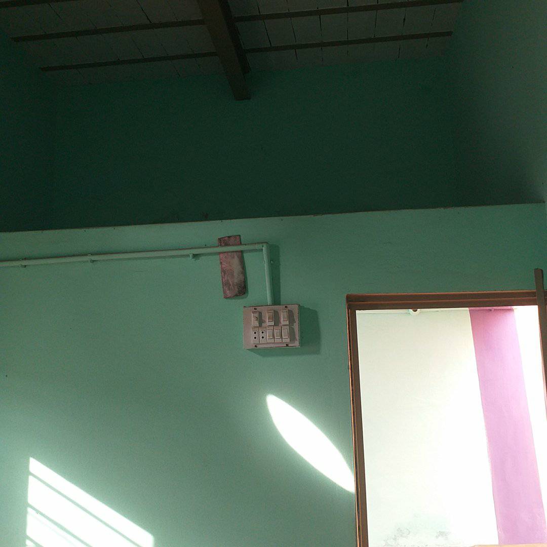 526775447_1318651423142708_2022798742543158452_n