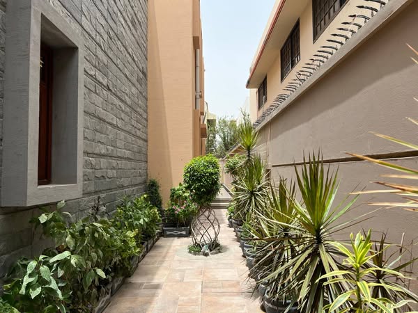 526796354_122126076812886561_8108340251947259229_n