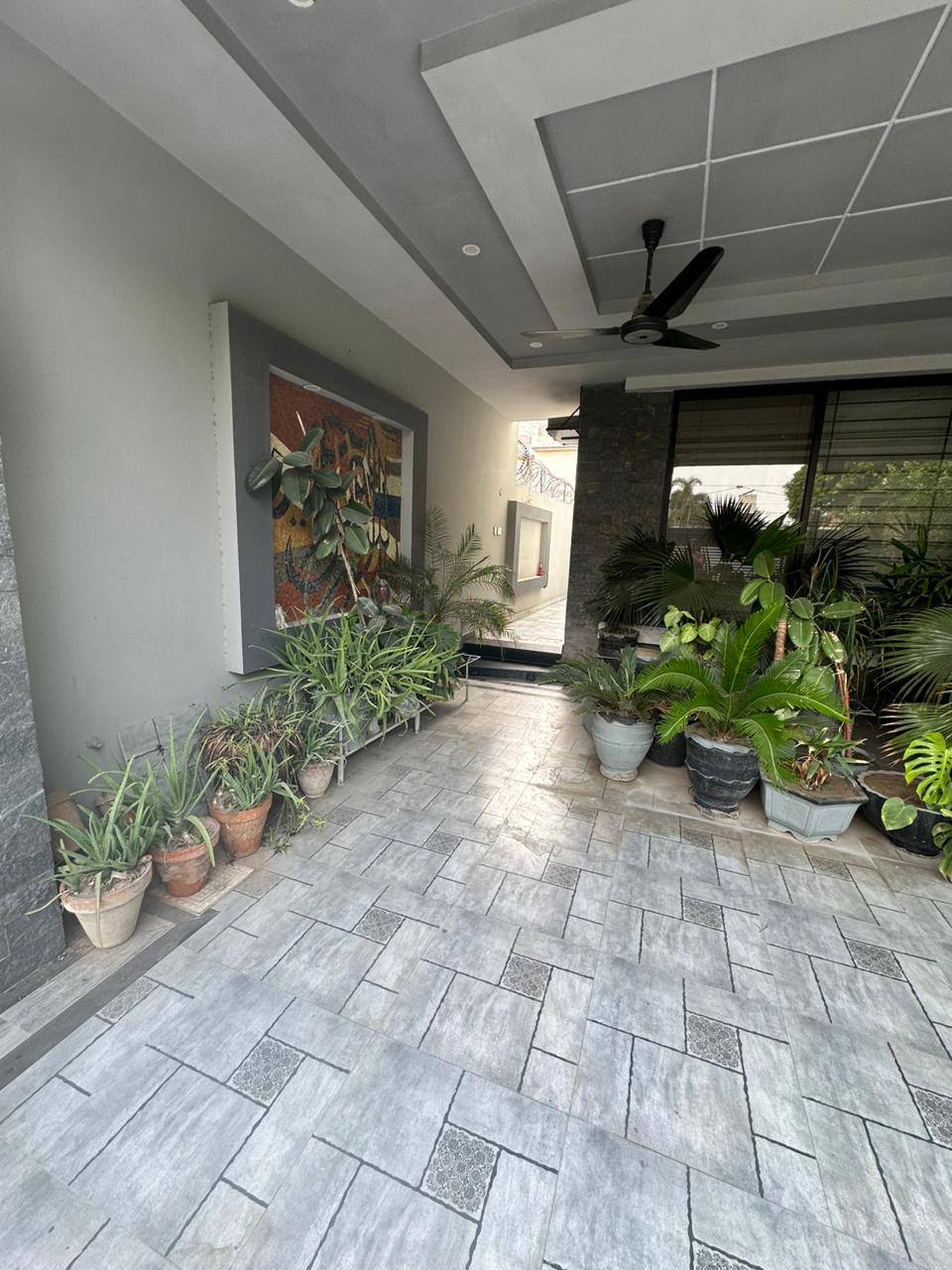 528683135_1505622343932575_1518466097322146163_n