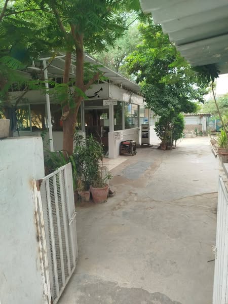 528742629_1064664779108208_2420437557219667448_n