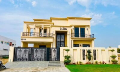 528801429_3700758003392183_6389027502998566997_n