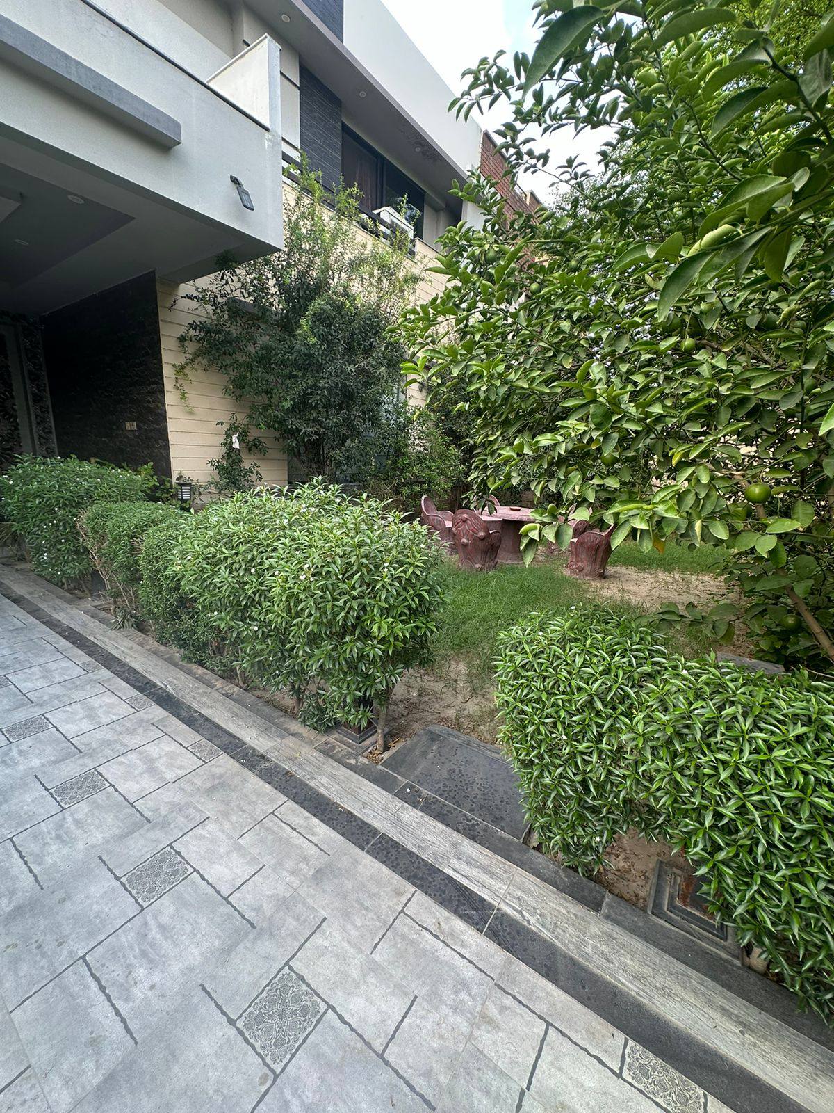 529270707_1505622127265930_3349403216511460134_n