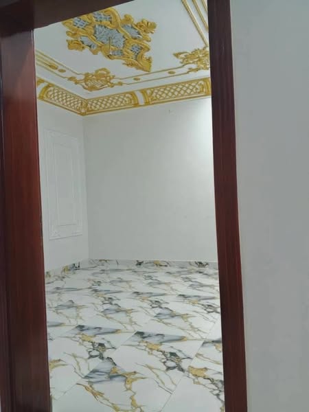 530307757_770658755472341_6587705335628843544_n