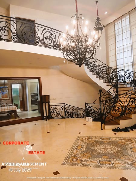 531691881_1184986383656579_7479984769813707072_n