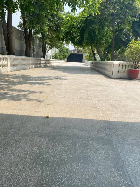 536059989_800999855925783_4924839372104294882_n