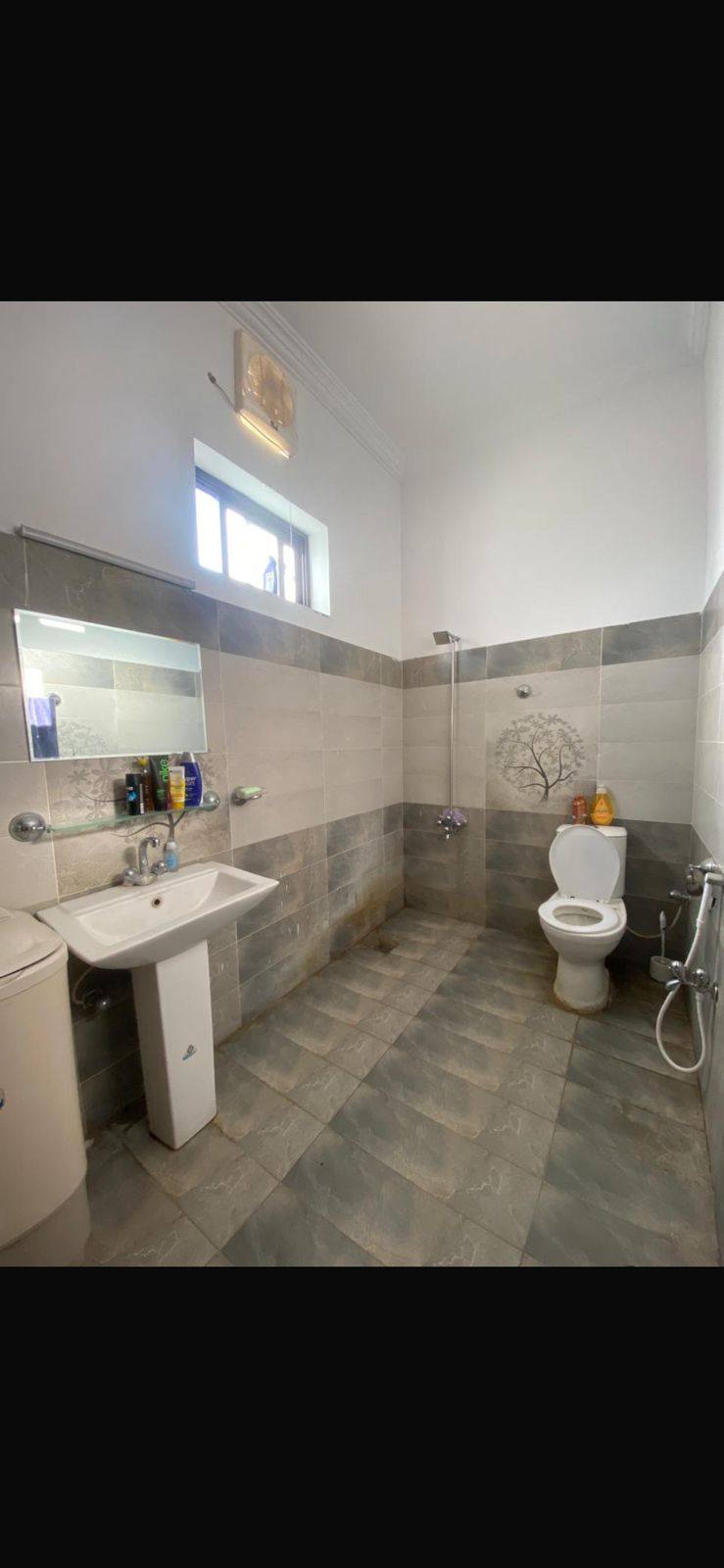 536256126_4091681954478852_3670112118186262691_n