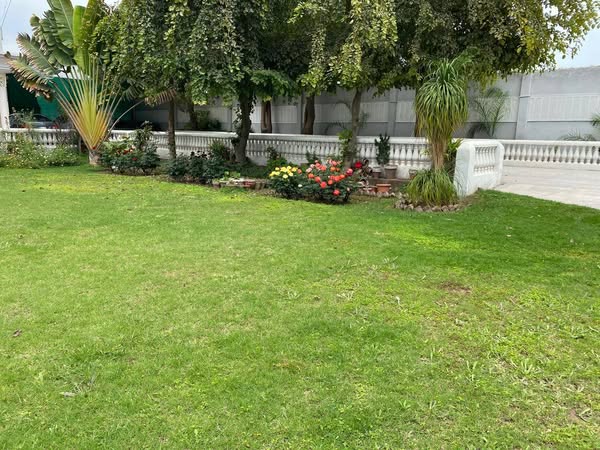 536269305_800999819259120_5360336029861180332_n