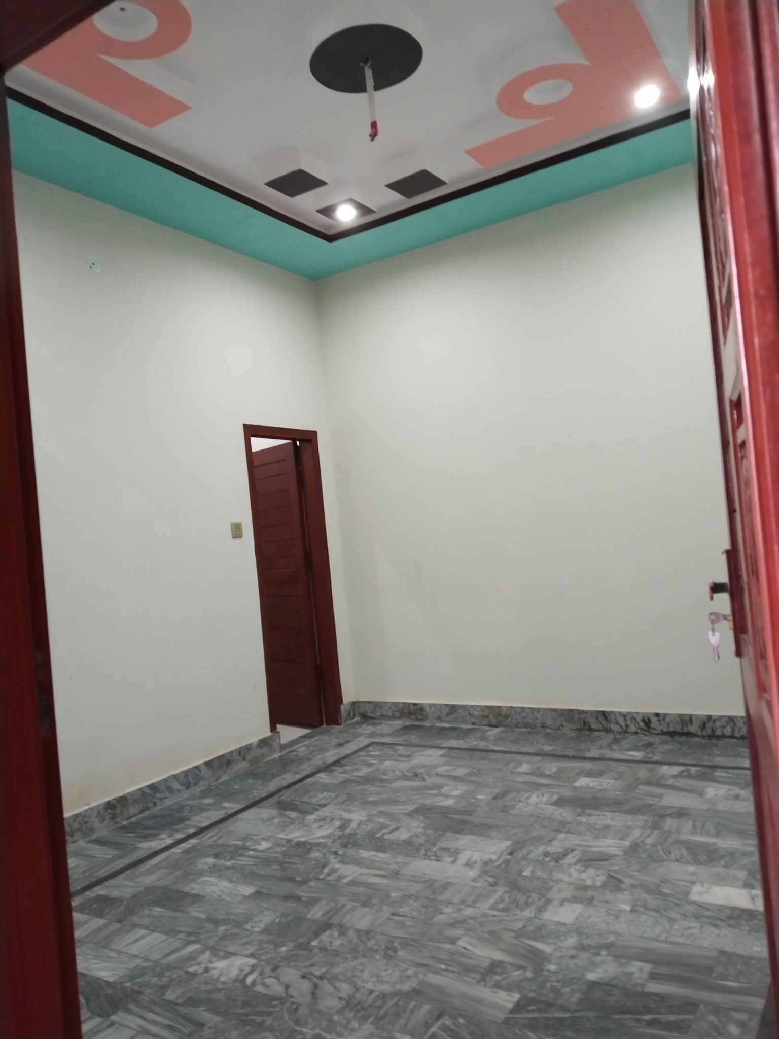 536269758_2559570261096338_6687216355063082619_n