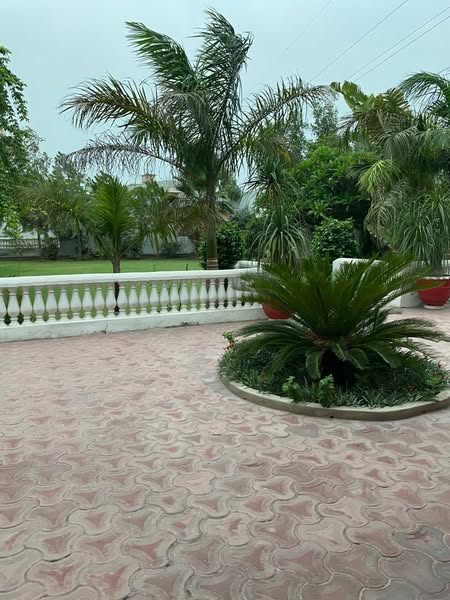 536271459_800999939259108_3461458409759113818_n