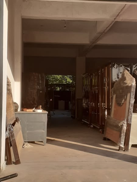 536283583_1259322429224218_8523099080262769505_n